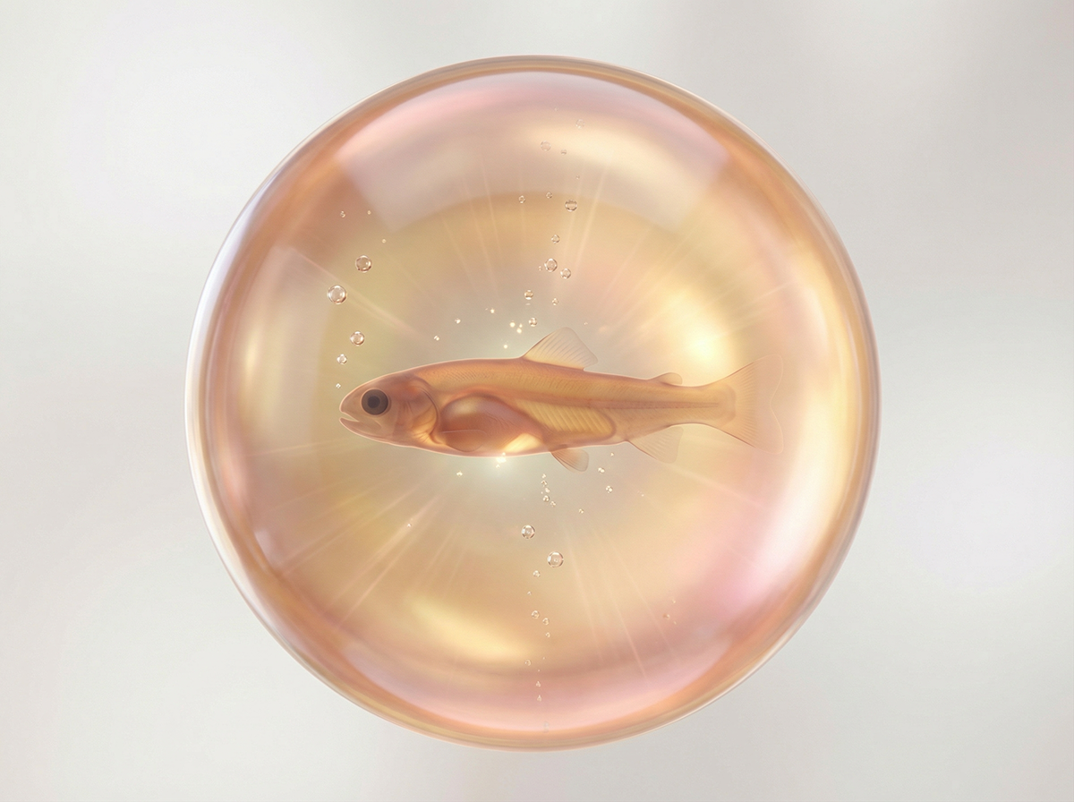 Рыбное хозяйство MY FISH - как появляется форель, которую спокойно покупают для семьи и рекомендуют тем, кто устал от «магазинной» рыбы